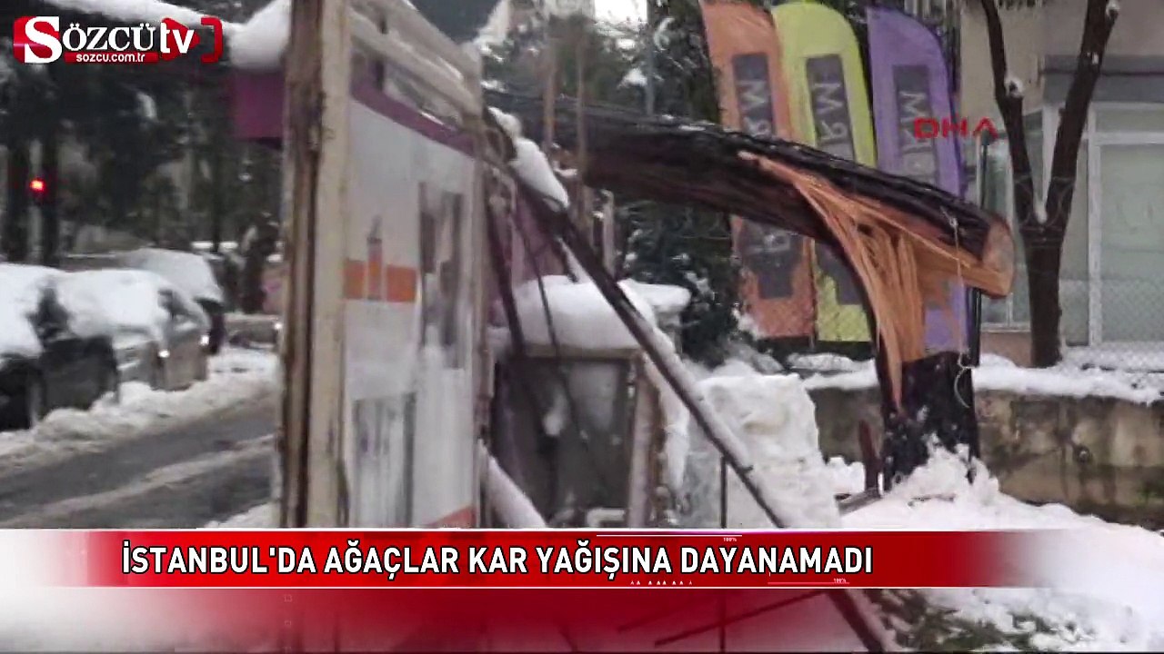 İstanbul'da ağaçlar kar yağışına dayanamadı
