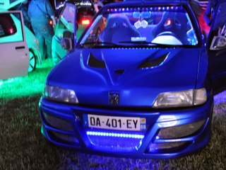 meeting show neon blacktigers 2014