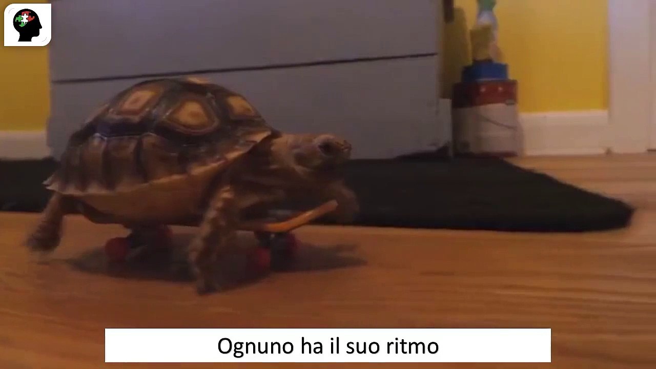 Ognuno ha il suo ritmo