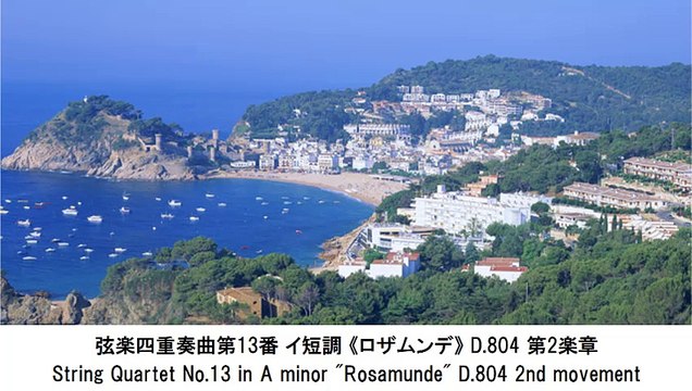 集中力を高めるシューベルト名曲集・Schubert Famous Collection Raises Your Concentration（長時間作業用クラシックBGM)