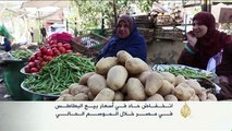 انخفاض حاد بأسعار البطاطس في مصر