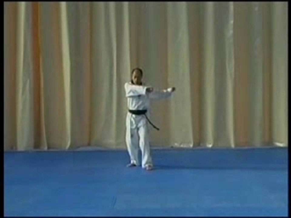TKD poomse du 1er au 8éme taegeug
