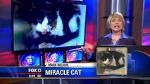 Miracle cat claws its way out of its own grave five days after being buried (Low)