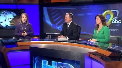 Dog travels more than 15 blocks alone to visit owner in hospital (Low)