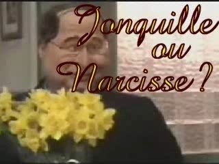 Jonquille ou narcisse ?