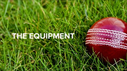 americans watching cricket for the first time - Buzz feed video