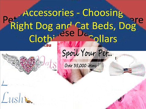 Buy Pet Products Online in Australia