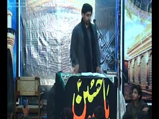 zakir syed waqar haider shirazi qaseda ya Ali slwt tera sani best