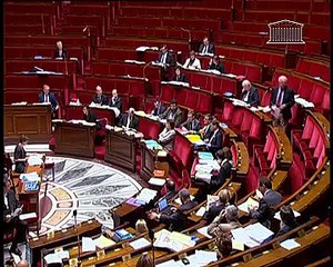 PROJET DE LOI DE FINANCEMENT DE LA SÉCURITÉ SOCIALE POUR 2011 (suite) - Vendredi 29 Octobre 2010
