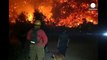 الشيلي: الحرائق تأتي على أكثر من 1600هكتار من الغابات
