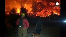 Chile: Verstärkung im Kampf gegen Waldbrände