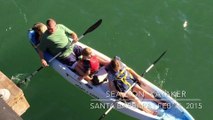 Cute Sea Lion jumps on the kayak of a family