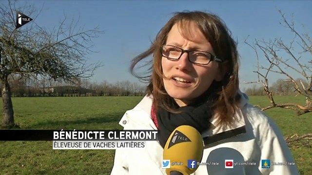 Agriculture biologique : portrait d’une éleveuse de vaches bio