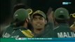 Mohammad Amir's 50+ International Wickets Collection