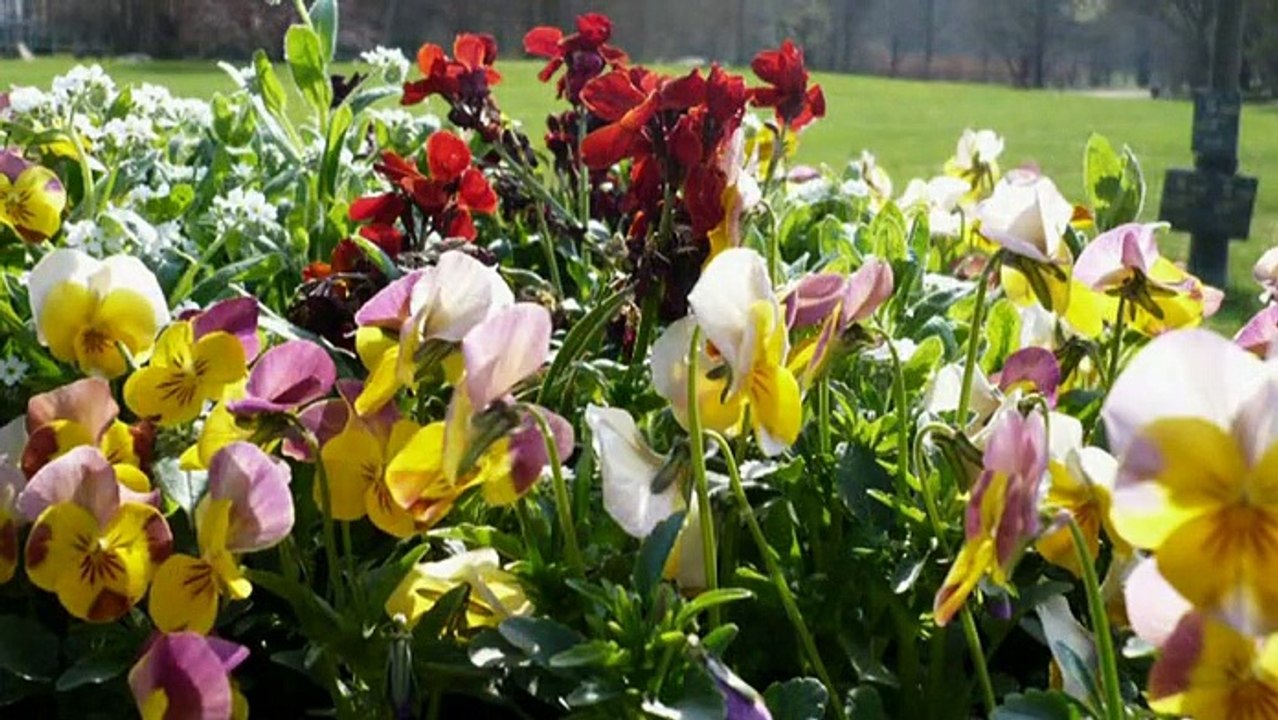 Frühling in den gärten der welt