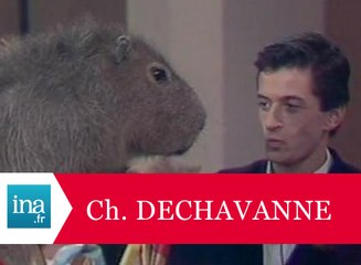 Culte: Christophe Dechavanne arrosé par le pipi d'un rongeur - Archive INA