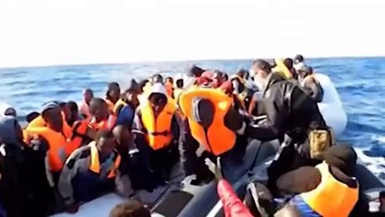 LE REAZIONI DELLA POLITICA