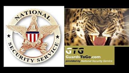 Security Guard Company - National Security Service in USA