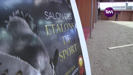 Salon de l'étalon à Saint-Lô [TéVi] 15_02_20
