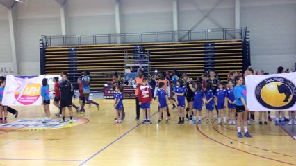 Coupe de la Ligue de handball