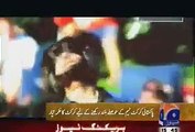 Veena Malik's husband Asad Bashir Khan composes Pakistan's cricket anthem