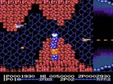 [NES] De A à Z : Battletoads & Double Dragon