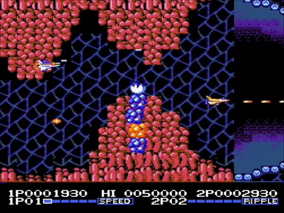 [NES] De A à Z : Battletoads & Double Dragon