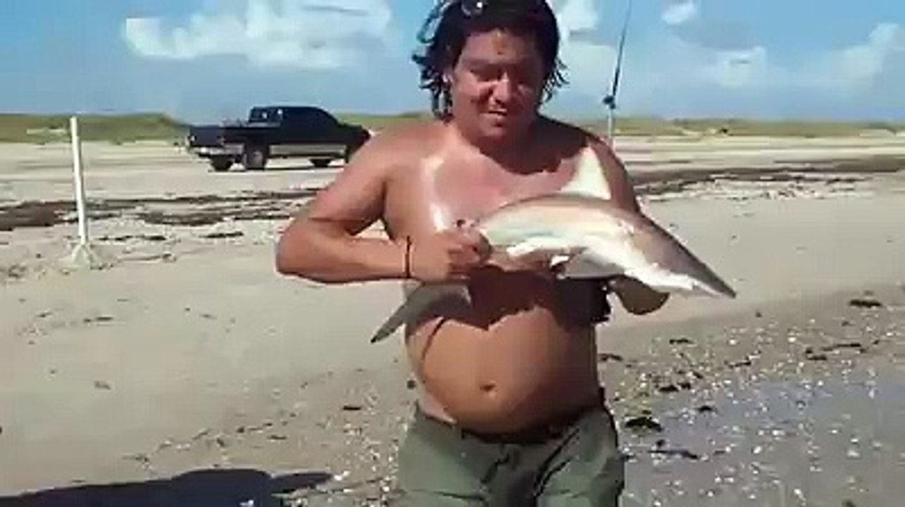 Requin attaque