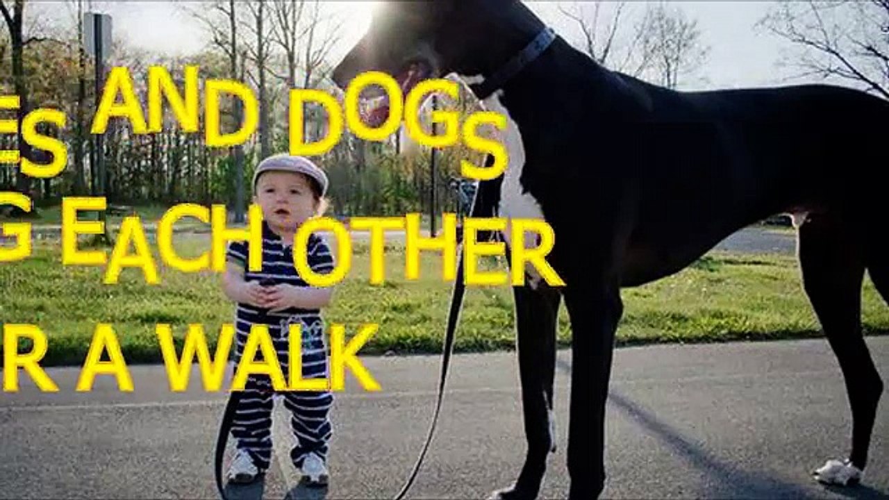 Babies and dogs take each other for a walk - Funny and cute compilation