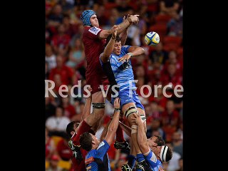 you crazy for watching Reds vs Force online Rugby