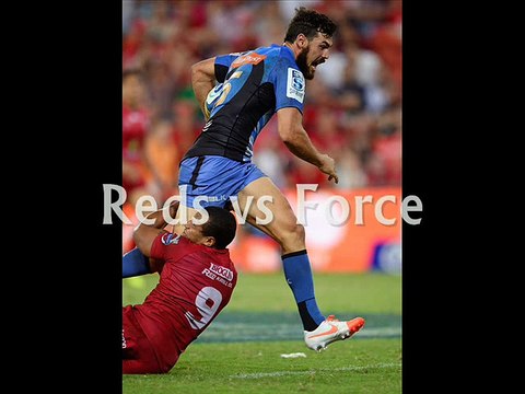 wathc Rugby stream Force vs Reds >>>>>