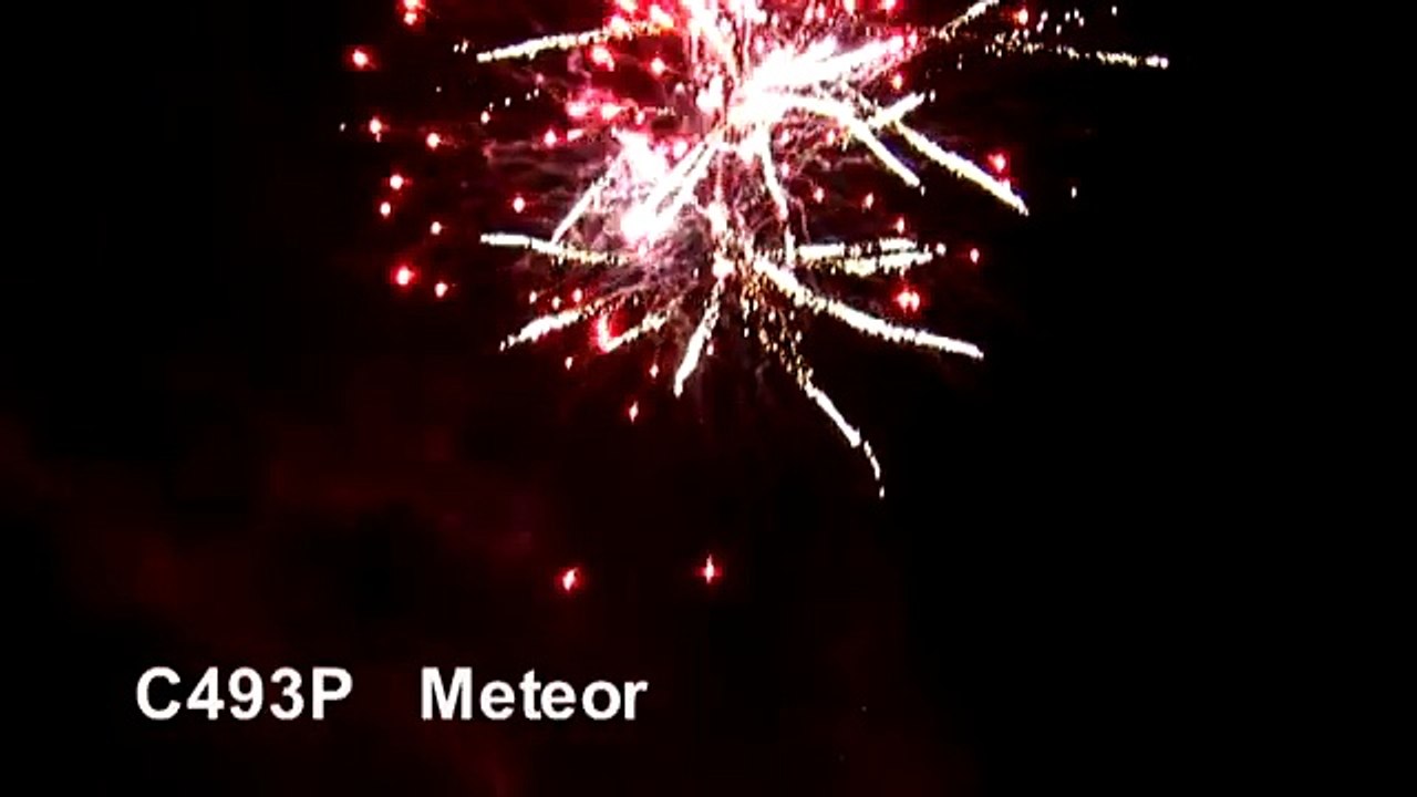 C493P