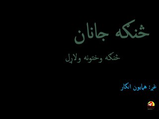 نوی  سندره همایون انگار