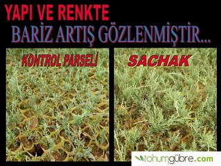 Süs Bitkisi Gübresi Sachak Ürün Denemesi ve Sonuçları - www.tohumgubre.com