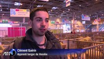 Le Salon de l'Agriculture prêt à démarrer