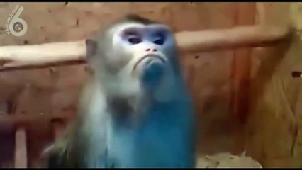 Если девушка обиделась - то это всерьез и надолго