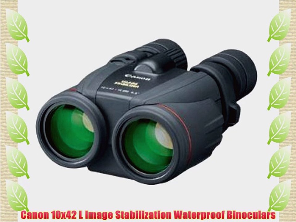 Canon 10x42 L Image Stabilization Waterproof Binoculars