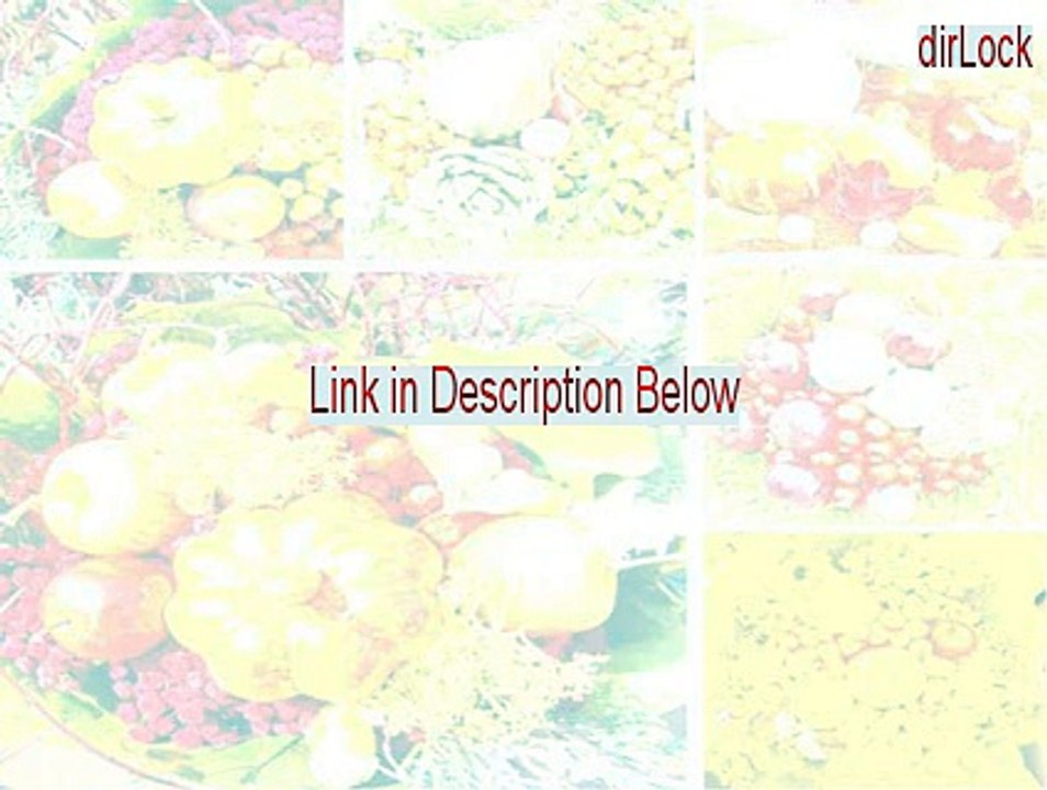 dirLock Serial (Legit Download)