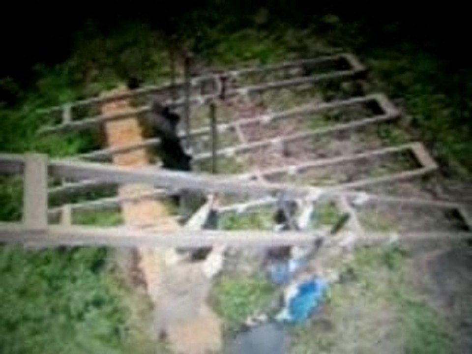 CHAISES A PORTEURS 1