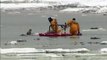 Etats-Unis : les pompiers sauvent deux chiens bloqués dans les glaces d'un marais