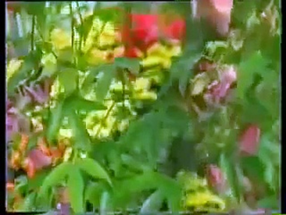 معجزة السقف المحفوظ(الانبياء :32