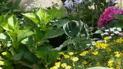 Vorgärten in Berlin-Marzahn