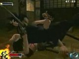 Tenchu Fatal Shadows