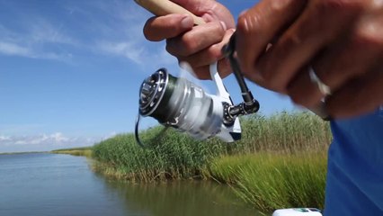 Tackle Test: Pflueger Patriarch XT Reel