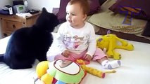 Funny cats and babies playing together - Cute cat & baby compilation