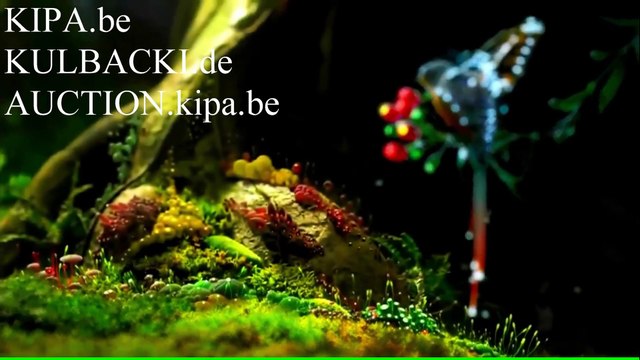 NATURALNA METODA KULBACKICH (KULBACKI RACING PIGEON STUD- Hodowla Gołębi Sportowych!)