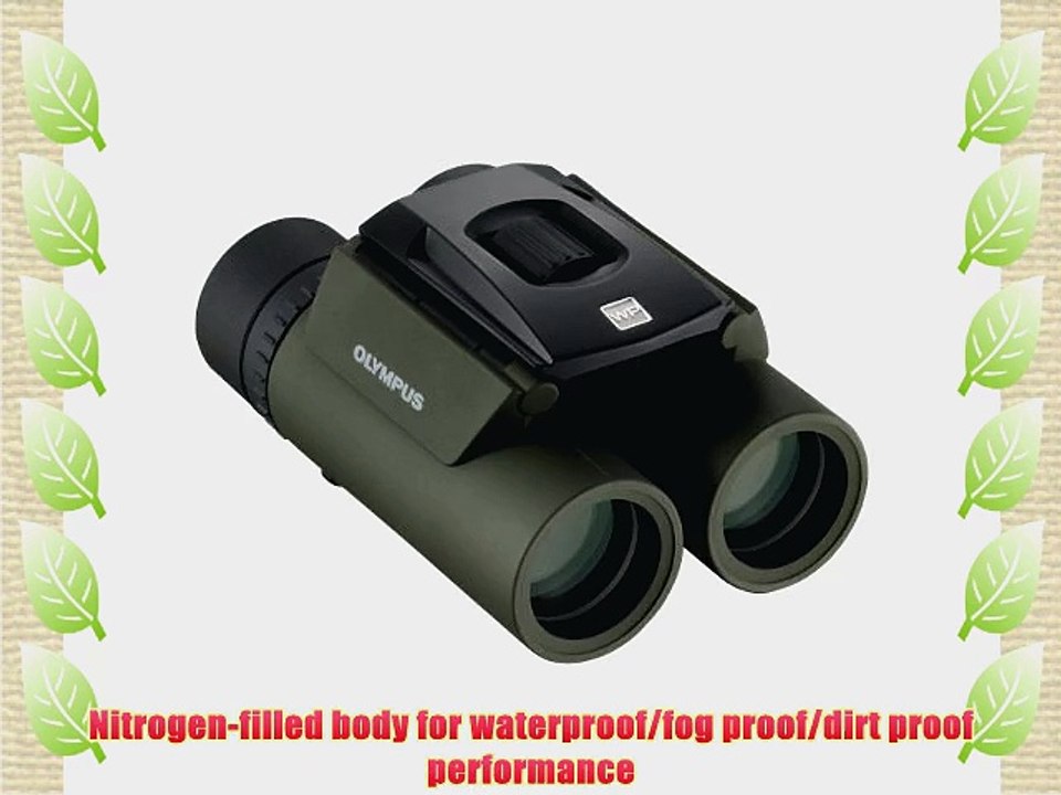 Olympus V501011EU000 8x25 WP II Binocular (Green)