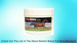 Equithrive Joint (1 lb) Review