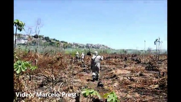 Bombeiros combatem incêndios na área de turfa no Mestre Álvaro