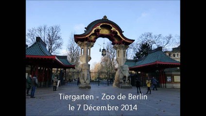 Zoo de Berlin le 7 Décembre 2015 - Tiergarten